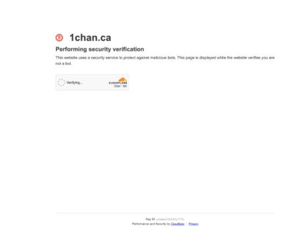 1chan.ca — SEO audit screenshot