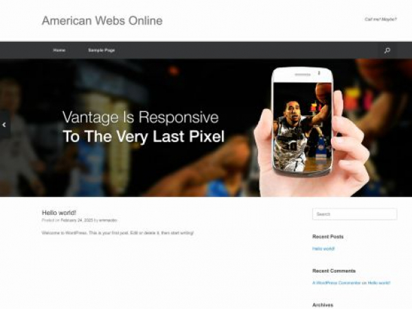 americanwebsonline.com