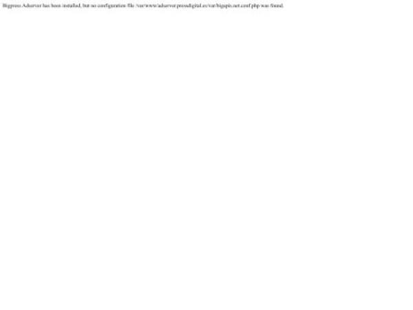 bigapis.net — SEO audit screenshot