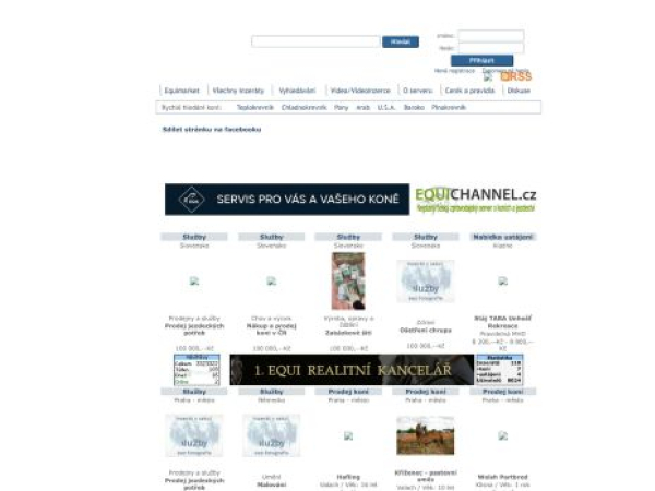 equimarket.eu — SEO audit screenshot