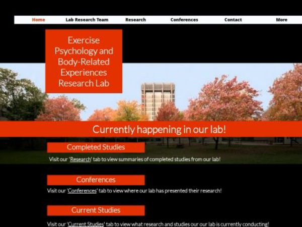 exerciseandbodyimagelab.com — SEO audit screenshot