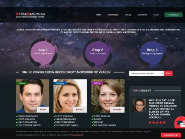onlinemedium.nu — SEO audit screenshot