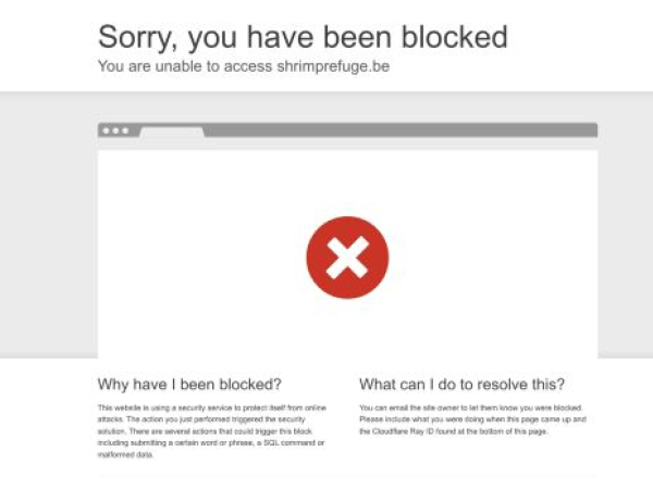 shrimprefuge.be — SEO audit screenshot