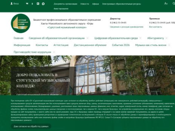 surgutmusic.ru — SEO audit screenshot