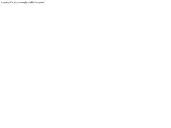 webmasterplein.net — SEO audit screenshot