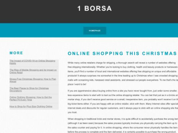 1borsa.com — SEO audit screenshot