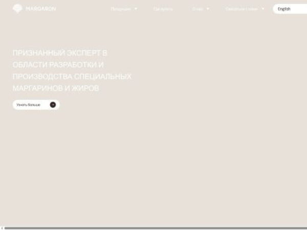 aakmargaron.com — SEO audit screenshot