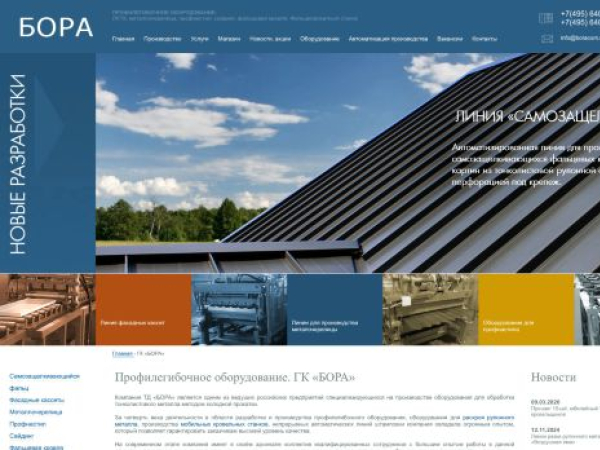 boracom.ru — SEO audit screenshot