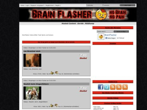 brainflasher.com