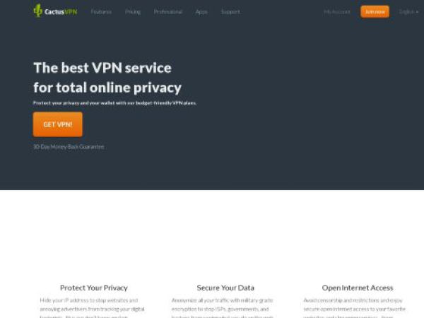 cactusvpn.com