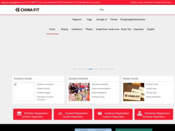 chinafit.com — SEO audit screenshot