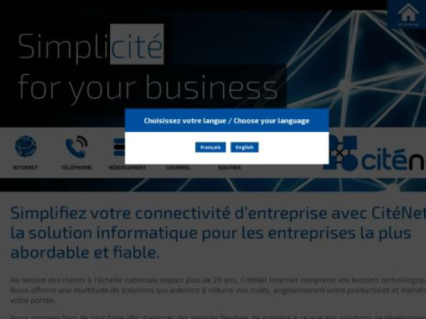 citenet.net — SEO audit screenshot
