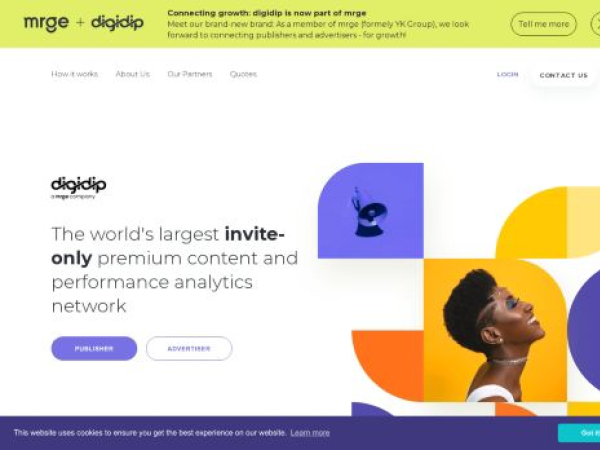 digidip.net — SEO audit screenshot