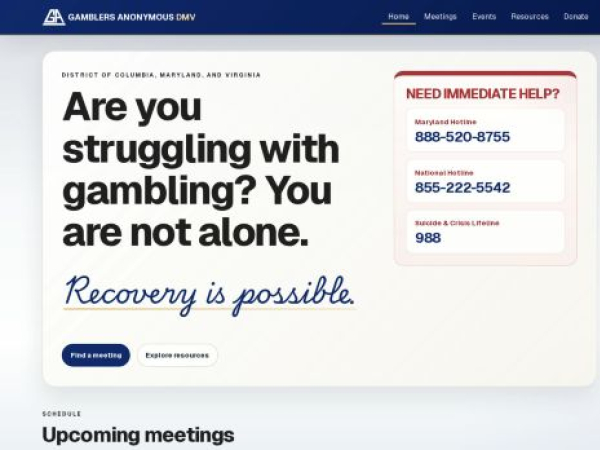 dmvgamblinghelp.org — SEO audit screenshot