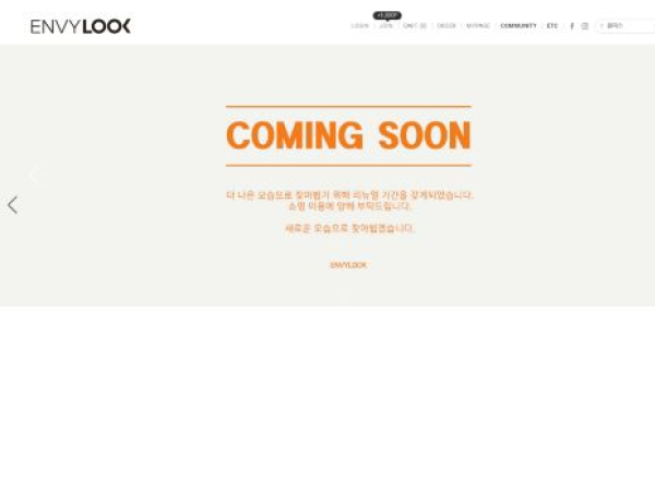 envylook.com — SEO audit screenshot