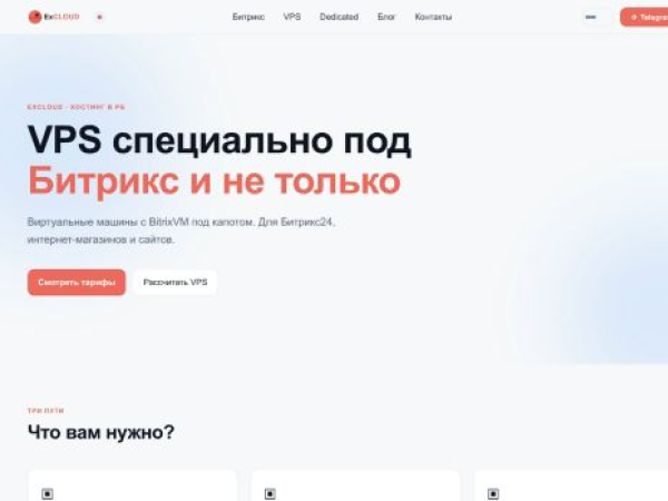 excloud.by — SEO audit screenshot