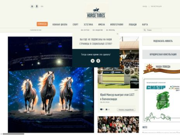 horsetimes.ru — SEO audit screenshot