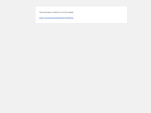 kitlab.org — SEO audit screenshot