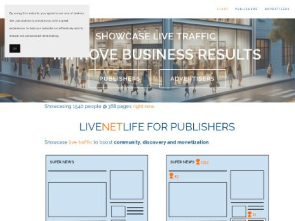 livenetlife.com — SEO audit screenshot