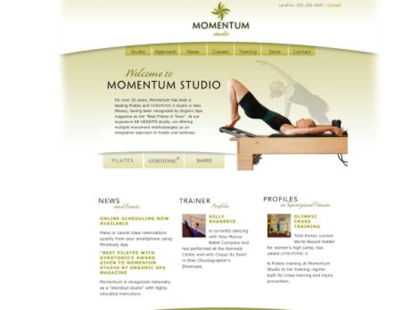momentumstudio.com — SEO audit screenshot