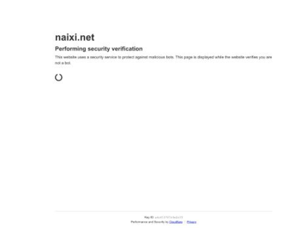 naixi.net — SEO audit screenshot