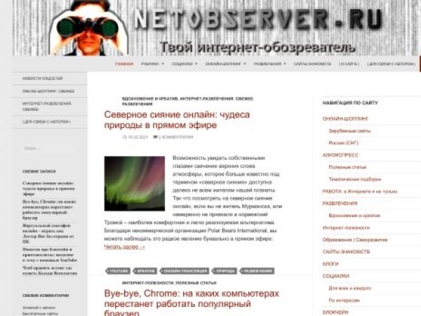 netobserver.ru