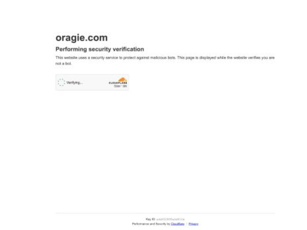oragie.com — SEO audit screenshot
