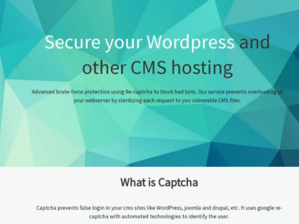 recaptcha.cloud — SEO audit screenshot