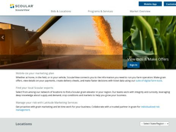 scoularnebraska.com — SEO audit screenshot