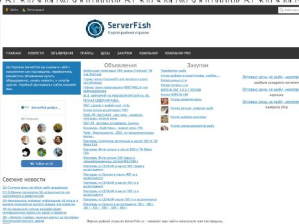 serverfish.ru — SEO audit screenshot
