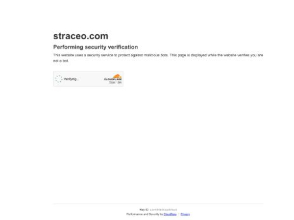 straceo.com — SEO audit screenshot