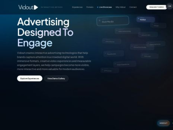vidout.net — SEO audit screenshot