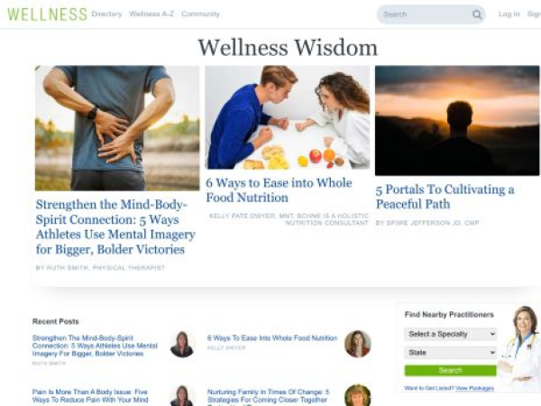 wellness.com — SEO audit screenshot