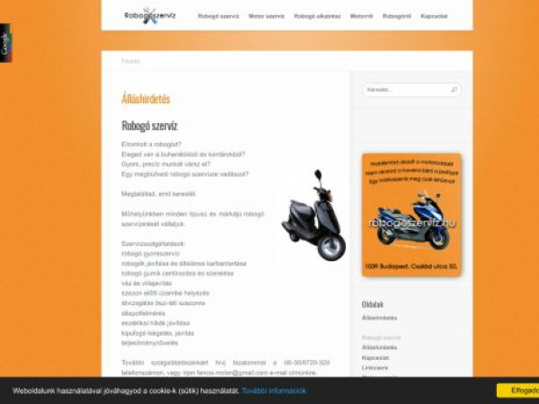 xn--robogszervz-xcb6e.hu — SEO audit screenshot