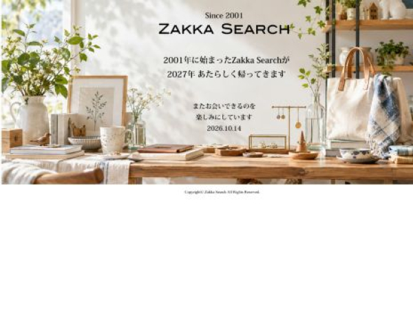 zakkasearch.com — SEO audit screenshot