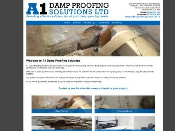 a1dampproofingsolutions.co.uk — SEO audit screenshot