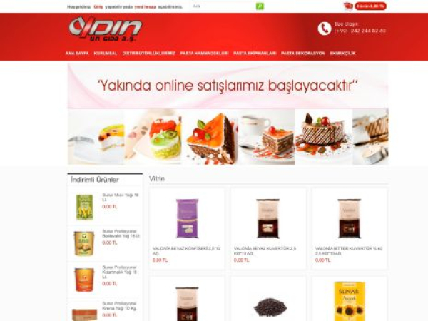 aydinun.com.tr — SEO audit screenshot