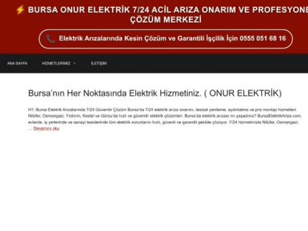 bursaelektrikariza.com — SEO audit screenshot