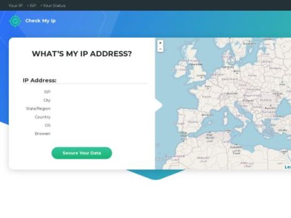 check-my-ip.co — SEO audit screenshot