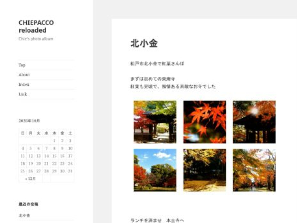 chiepacco.com — SEO audit screenshot