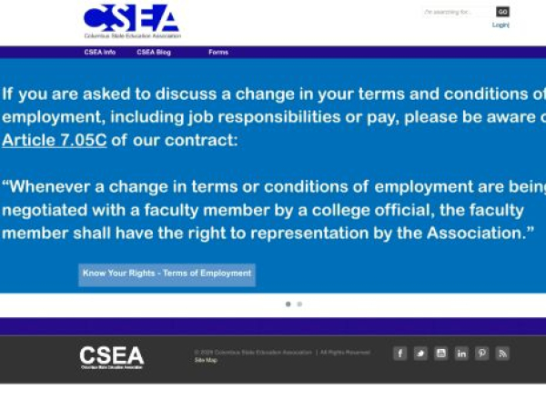 cseafaculty.org — SEO audit screenshot