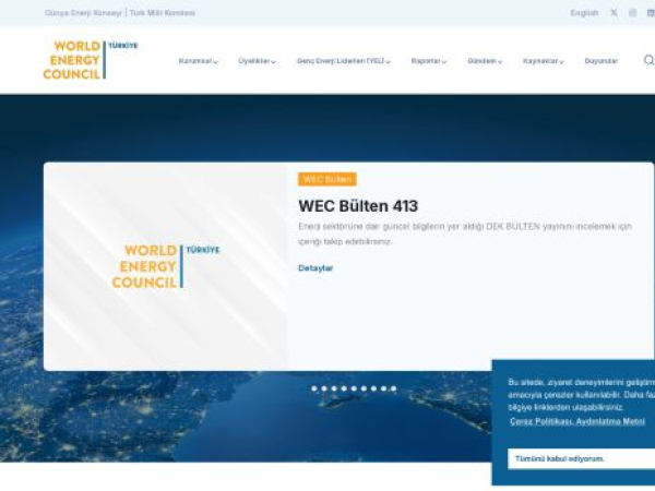 dunyaenerji.org.tr — SEO audit screenshot