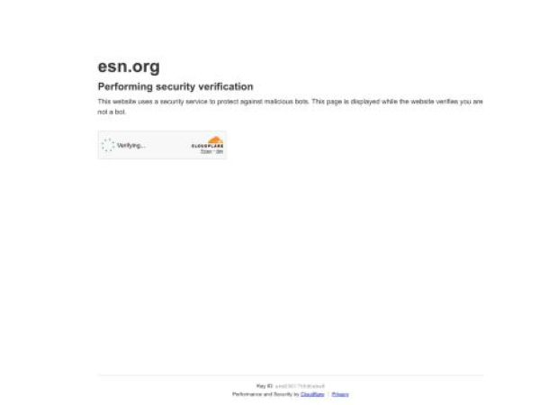 esn.org — SEO audit screenshot