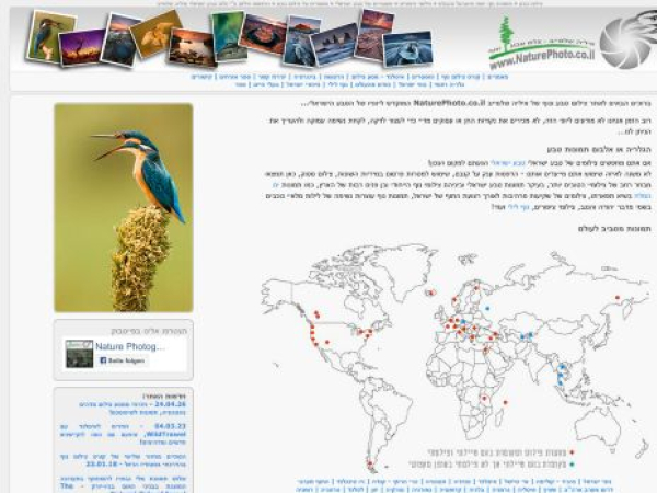 focuswildlife.com — SEO audit screenshot