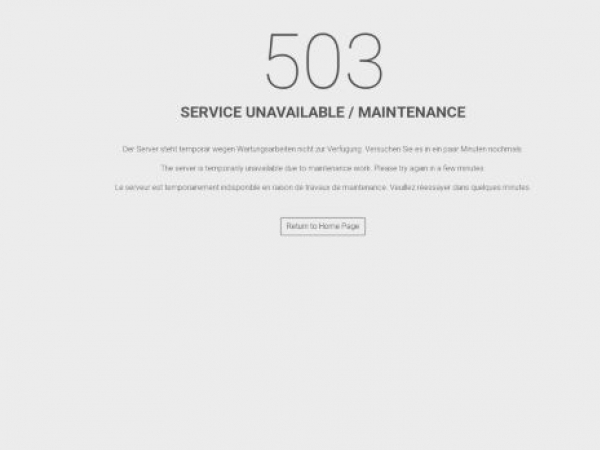 it-viking.ch