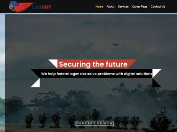 ladgov.com — SEO audit screenshot
