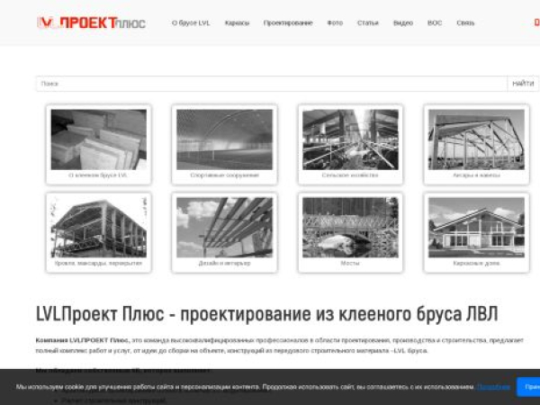 lvlpro.ru — SEO audit screenshot