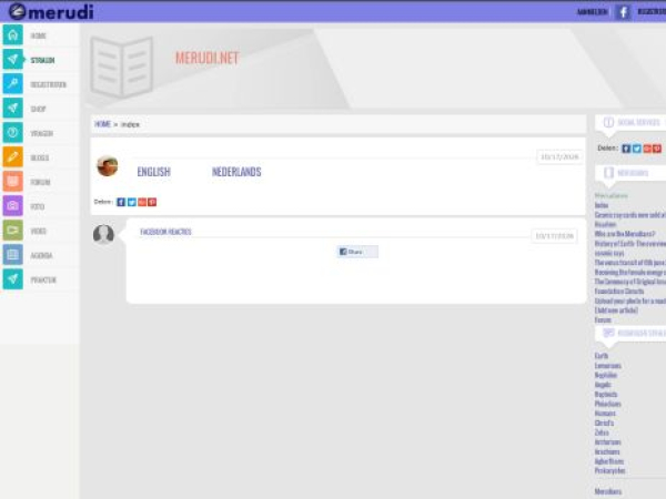 merudi.net — SEO audit screenshot