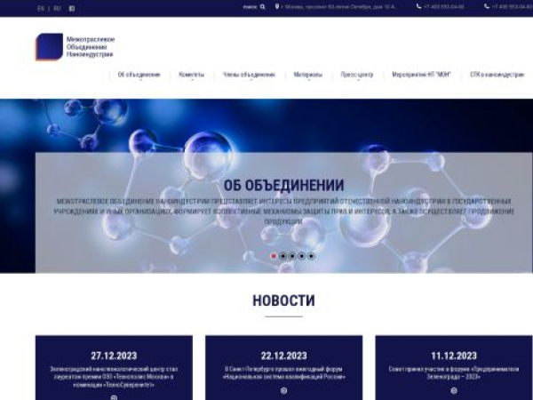 monrf.ru — SEO audit screenshot