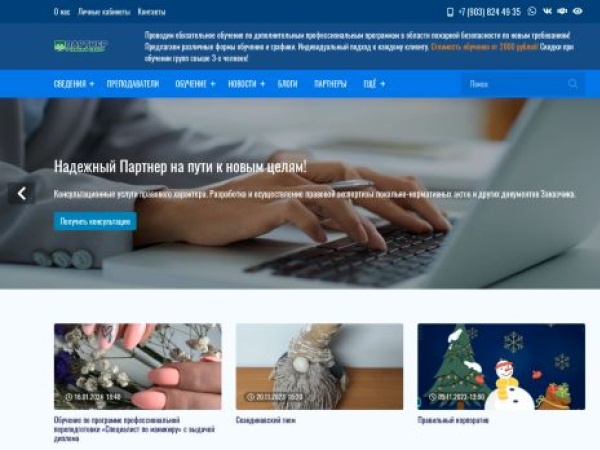 partneruc.ru — SEO audit screenshot